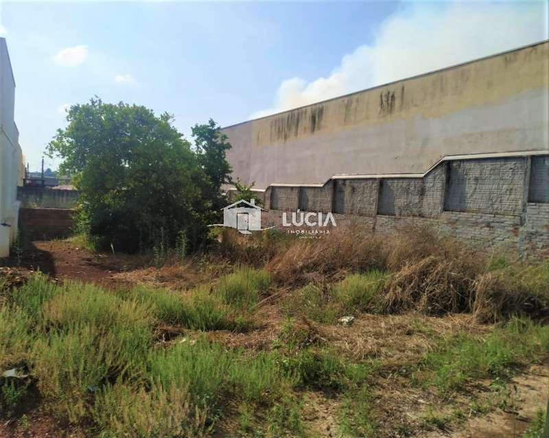 Terreno Venda Vila Netinho em Jaú